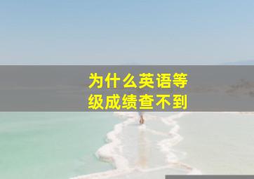 为什么英语等级成绩查不到