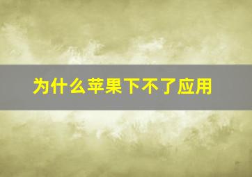 为什么苹果下不了应用