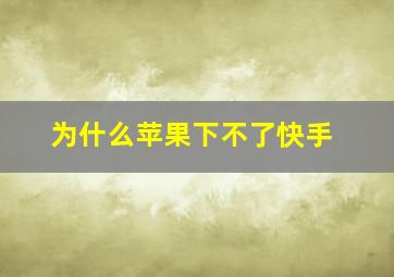 为什么苹果下不了快手