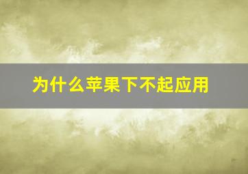 为什么苹果下不起应用