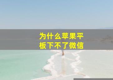 为什么苹果平板下不了微信