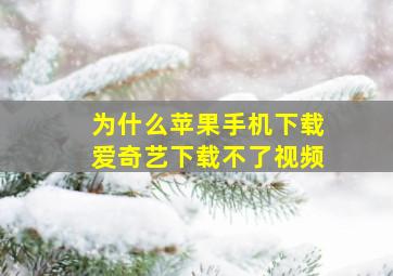 为什么苹果手机下载爱奇艺下载不了视频