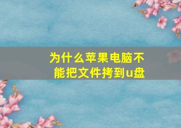 为什么苹果电脑不能把文件拷到u盘