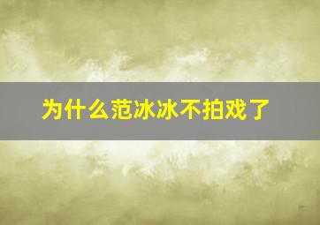 为什么范冰冰不拍戏了