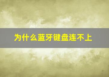 为什么蓝牙键盘连不上