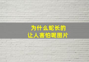 为什么蛇长的让人害怕呢图片