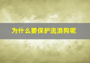 为什么要保护流浪狗呢