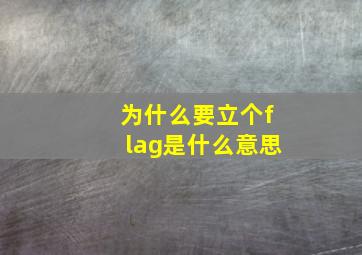 为什么要立个flag是什么意思