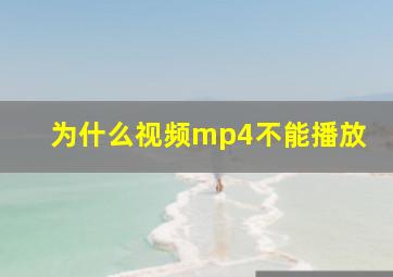 为什么视频mp4不能播放