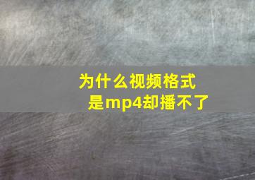 为什么视频格式是mp4却播不了