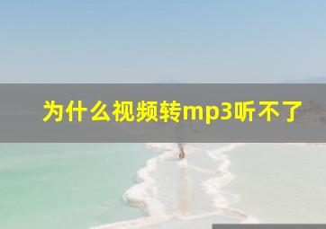 为什么视频转mp3听不了