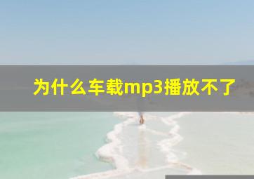 为什么车载mp3播放不了