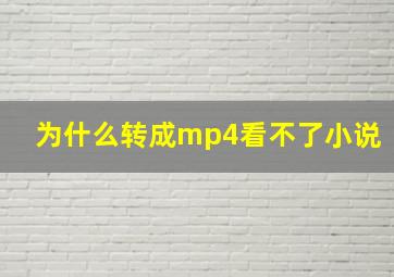 为什么转成mp4看不了小说