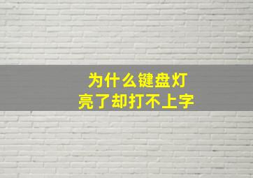 为什么键盘灯亮了却打不上字