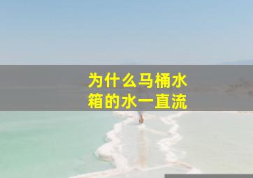 为什么马桶水箱的水一直流