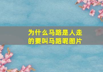 为什么马路是人走的要叫马路呢图片