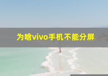 为啥vivo手机不能分屏