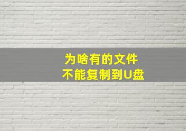 为啥有的文件不能复制到U盘