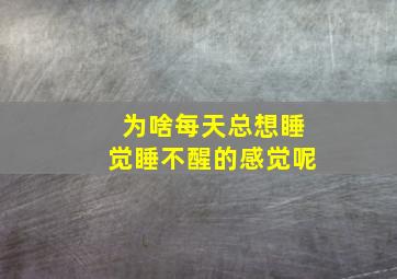 为啥每天总想睡觉睡不醒的感觉呢