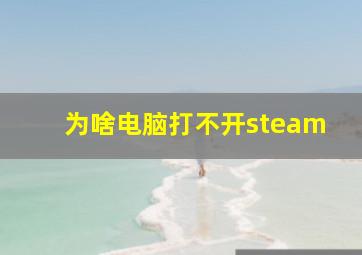 为啥电脑打不开steam