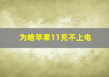 为啥苹果11充不上电