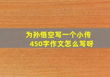 为孙悟空写一个小传450字作文怎么写呀