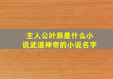 主人公叶辰是什么小说武道神帝的小说名字