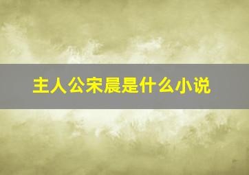 主人公宋晨是什么小说