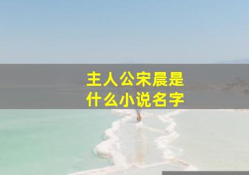 主人公宋晨是什么小说名字