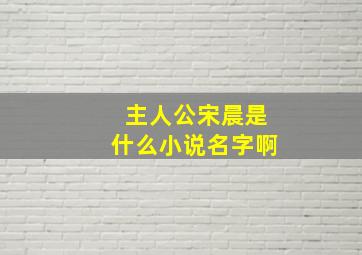 主人公宋晨是什么小说名字啊