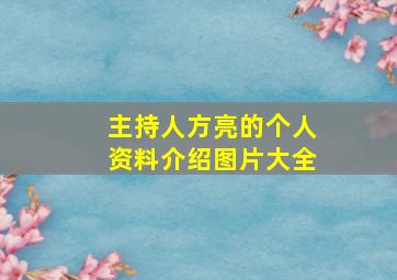 主持人方亮的个人资料介绍图片大全