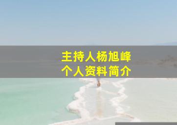 主持人杨旭峰个人资料简介