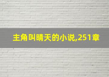 主角叫晴天的小说,251章