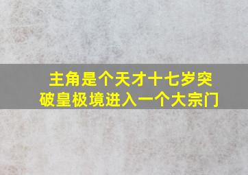 主角是个天才十七岁突破皇极境进入一个大宗门