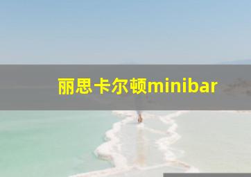 丽思卡尔顿minibar