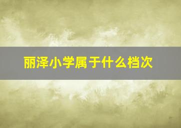 丽泽小学属于什么档次