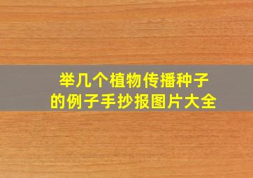 举几个植物传播种子的例子手抄报图片大全