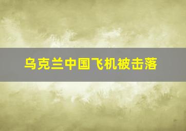 乌克兰中国飞机被击落