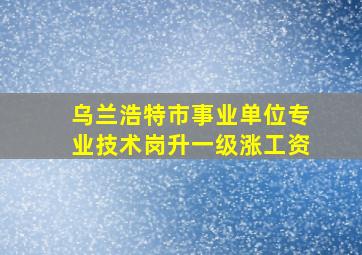 乌兰浩特市事业单位专业技术岗升一级涨工资