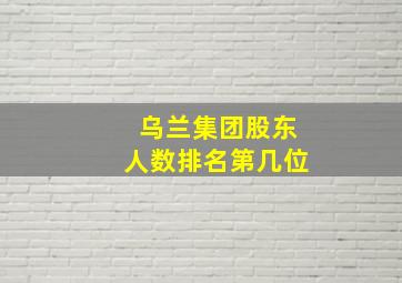 乌兰集团股东人数排名第几位