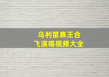 乌利苗寨王合飞演唱视频大全