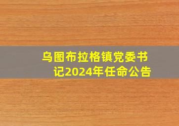 乌图布拉格镇党委书记2024年任命公告