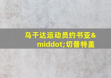 乌干达运动员约书亚·切普特盖