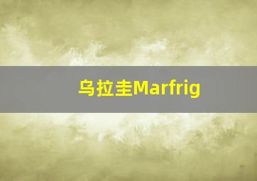 乌拉圭Marfrig