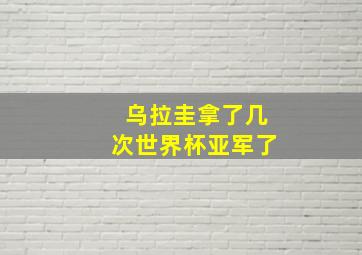 乌拉圭拿了几次世界杯亚军了