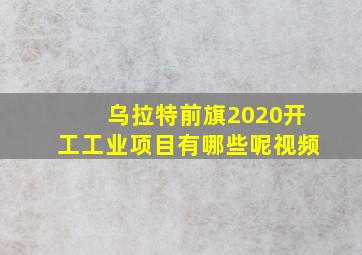 乌拉特前旗2020开工工业项目有哪些呢视频