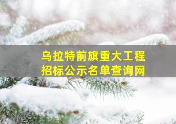 乌拉特前旗重大工程招标公示名单查询网