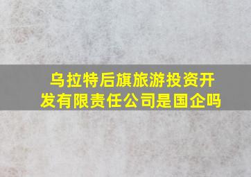 乌拉特后旗旅游投资开发有限责任公司是国企吗