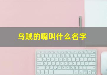 乌贼的嘴叫什么名字