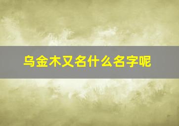 乌金木又名什么名字呢